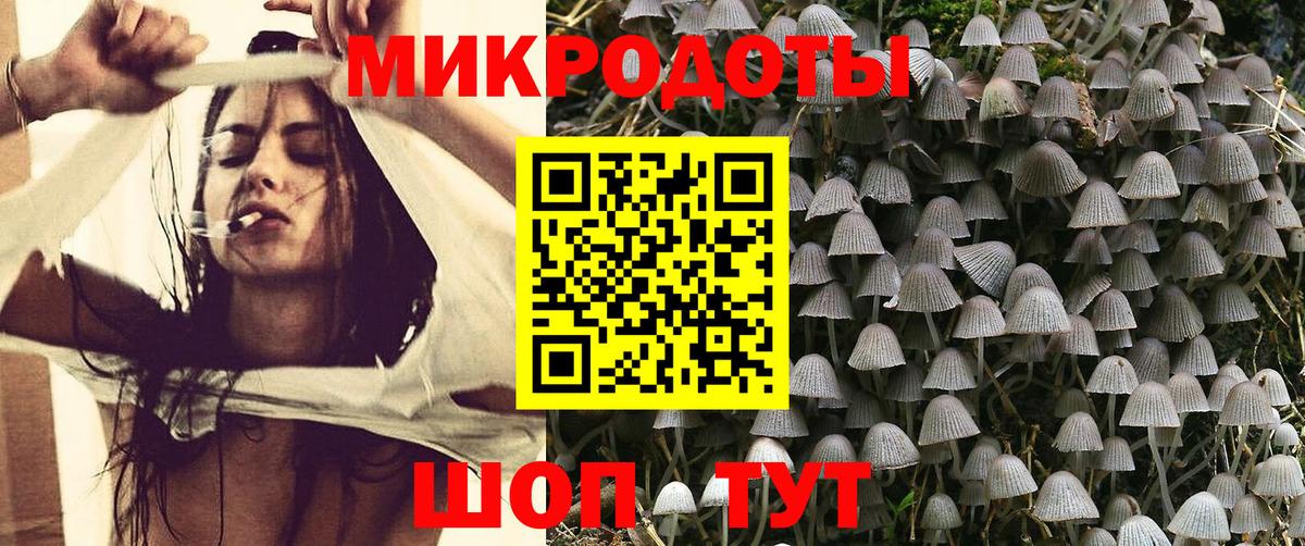 Саратов  Псилоцибиновые грибы Psilocybe  Псилоцибиновые грибы Magic Shrooms  Вход с VPN 